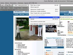 Module download Safari 4