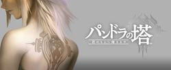 Pandora's Tower Wii (1)