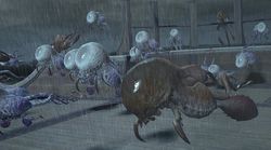 Final Fantasy XIV online (4)