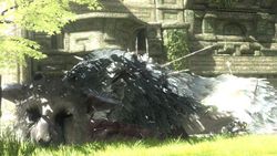 The Last Guardian - 1