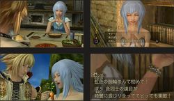 Pandora's Tower Wii (16)