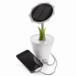 Solar Sunflower