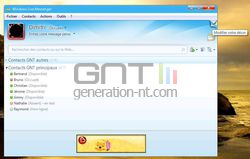 Personnaliser WLM 2009 1