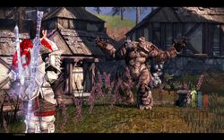 Dragon Age Origins - Image 103