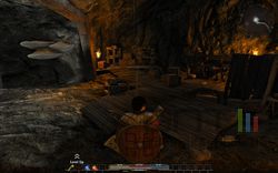 Gothic 4 Arcania - Image 49