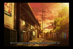 Fragile Dreams (17)
