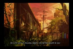 Fragile Dreams (18)