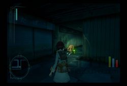 Fragile Dreams (35)