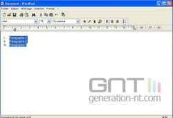 Puces WordPad 2