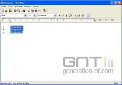 Puces WordPad 1