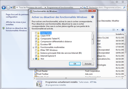 Fonctions inutiles Windows 4