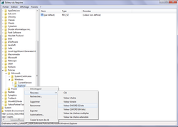 Historique Explorateur 4