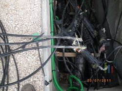IMGP1105