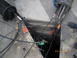 IMGP1102