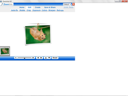 safariapps04