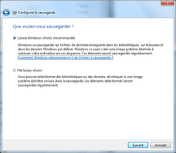 sauvegarde-4