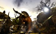 Age of Conan Hyborian Adventures 4
