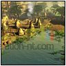 Age of empires iii screenshots