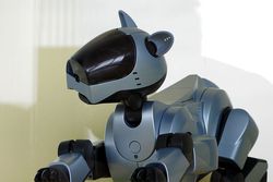 Aibo