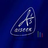 Aiseek logo