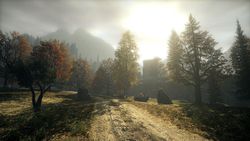 Alan Wake - 2
