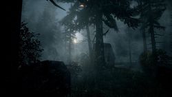 Alan Wake - 6