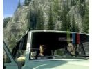 Alan wake image 3 small