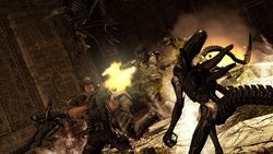 Aliens vs Predator - Image 16