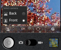 Android Gingerbread photo
