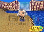 Animal crossing wild world ds
