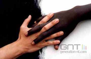 anti racisme