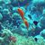 Aquarium sur DS : trailer officiel