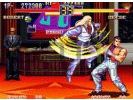 Art of fighting screenshot 8 small Art of fighting screenshot 8 small