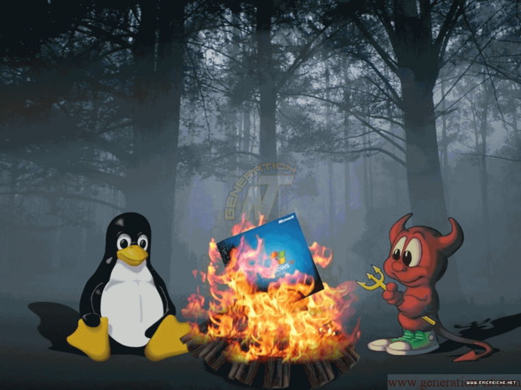 Article n° 100 - Firefox : découverte d'un projet opensource - 2_ScreenTux
