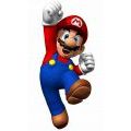 Article n&deg; 176 - New Super Mario Bros (120*120)