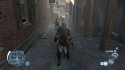 Assassin Creed III - 17