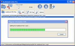 Audiobook Cutter screen