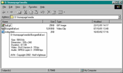 AVI Info Tip screen 2
