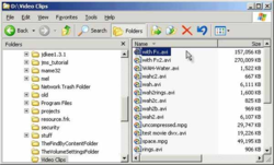 AVI Info Tip screen