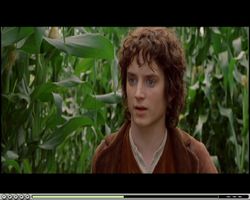 AVS DVD Player LOTR