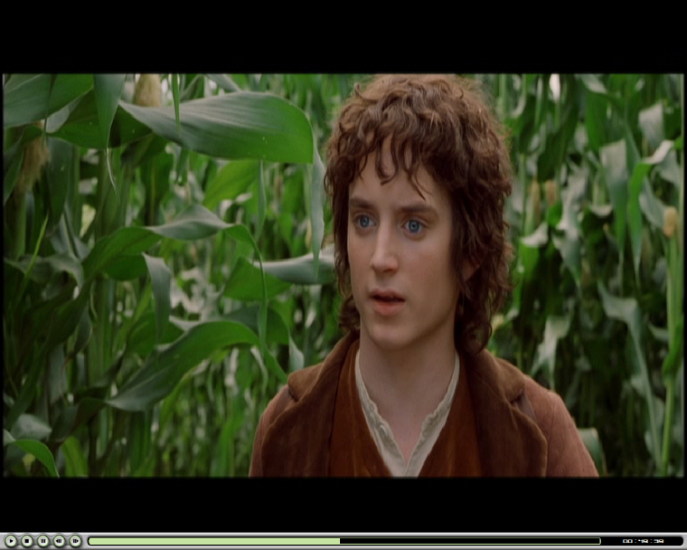 AVS DVD Player LOTR