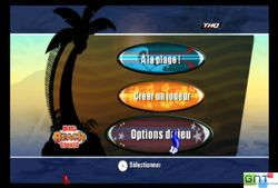 Big Beach Sports