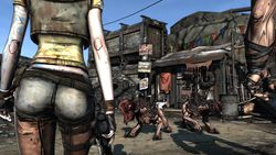 Borderlands - Image 1