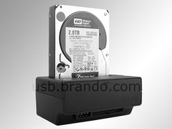 Brando dock IDE SATA 1