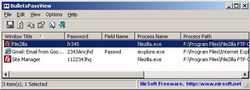 BulletsPassView screen 1