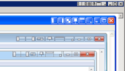 Chameleon Window Manager logo