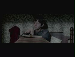 Les chroniques de Spiderwick (15)
