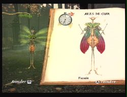 Les chroniques de Spiderwick (32)