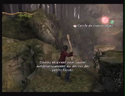 Les chroniques de Spiderwick (39)