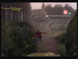 Les chroniques de Spiderwick (40)